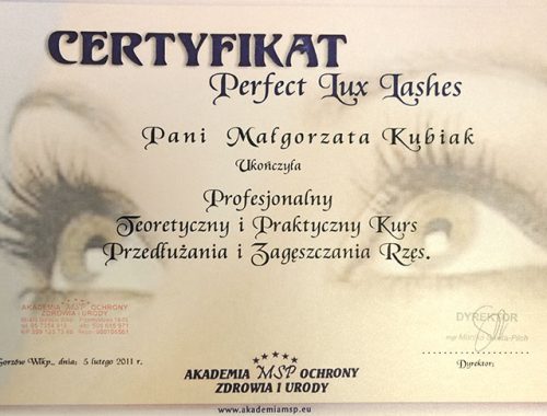 Perfect Lux Lashes Attended Glam Tam System Presentation